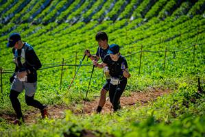 BIB: 
                            <button type="button" onclick="openModal(19162759)" class="btn btn-primary btn-sm float-right btn-popup" data-toggle="modal" data-target=".modal-high-quality">
                        <i class="fas fa-shopping-cart"></i> Add to Cart
                    </button>
                                            <button type="button" onclick="isThisMe(19162759, true)" class="btn btn-success btn-sm float-right btn-popup btn-isme hidden" data-toggle="tooltip" data-placement="bottom" title="นี่คือรูปของคุณใช่ไหม คลิกที่นี่เพื่อเอาเข้าอัลบั้ม">
                        <i class="fas fa-plus"></i> Add to album
                    </button>
                    <button type="button" onclick="isThisMe(19162759, false)" class="btn btn-warning btn-sm float-right btn-popup btn-isnotme hidden">
                        <i class="fas fa-ban"></i> Remove from album
                    </button>